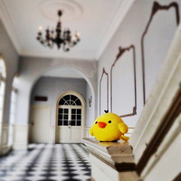 �����������Ϻ��Ļ�ɴ��