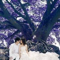 ��ף��������װ�������ǻ��ϵ�����