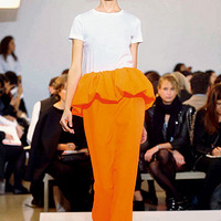 ӫ��ɫ���� ��������������(��ͼ)