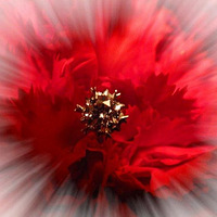 ���Բι���ʯ������������