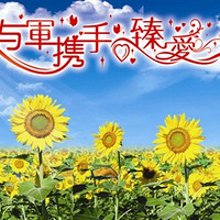 �ҵ����տ��������