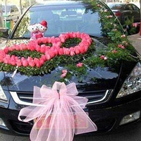 ӭȢ�Ļ鳵װ��С����