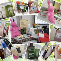 ɹɹ����Ů���İ칫��