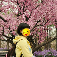 ׼����Ҳ��ɹ��Ʒ����