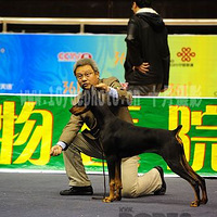 �����ų���ȥ���Ρ�