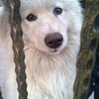 ˧������&�ɸ� �͹��������ܽӴ�