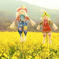 ף��--5��������