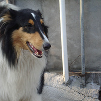 �Ҽҵ���������