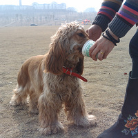 ����Ů���μ�