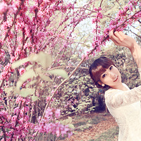 ����ɹɹд��