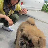 �Ҽ������³�Ա