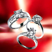 12����ר���������