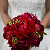 6���������ĵĺ�ɫ������