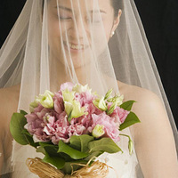 �����ѡ�ʺ��Լ��Ļ�ɴ�����