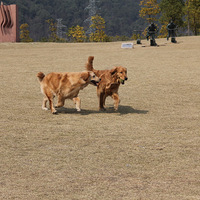 С���������~