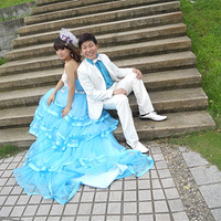 �ٻ��������ͣ�ɫ�ʻ�ɴ�����⾰����