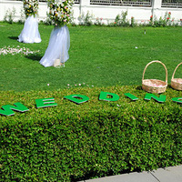 �����ƺ�����������OUT��