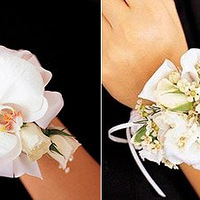 ����ر�����������