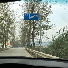 富阳湘溪看银杏，住民宿“又一邨·青庭”：美的不想回家