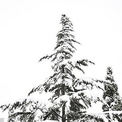 【手机相册】西安游9