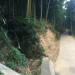 竹林里的悠闲生活——莫干山“山坡尚”精品民宿