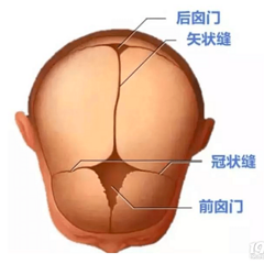 囟门,宝宝的"天门盖",透过他可以更了解宝宝发育情况