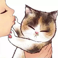猫咪不要嫌弃我嘛,这组头像我要一天换一个!
