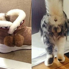 近距离猫蛋蛋极致诱惑,未满18岁禁看!