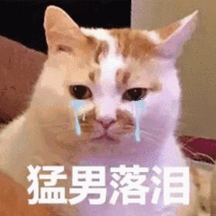 年检今天开始全面涨价，价格有高有低，你们都去年检了吗？