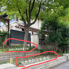 太仓绿地香颂高端别墅，物业差，绿化一塌糊涂