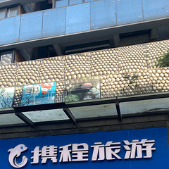 有旅院的小伙伴想找工作吗？