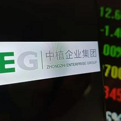 破产财产如何分配？债权人现阶段又该做什么？#中植企业集团#