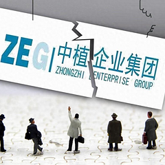 第一次债权人会议迟迟未召开？稳住，别慌#中植企业集团#