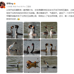 李现加入公园打鸟大爷队伍,本人亲自回应,引发热议