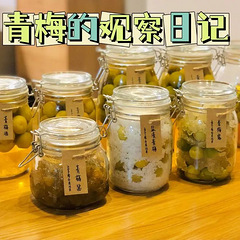 百变青梅~保姆级教程来啦