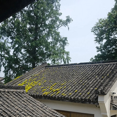适合和朋友吃的漂亮饭