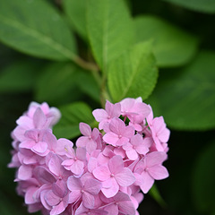 5月25日下午好