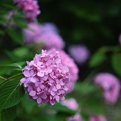 5月27日下午好