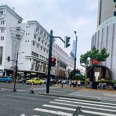 悠宝游上海
