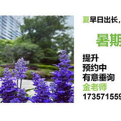 助力提升语文素养