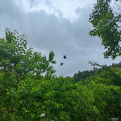 雨后景象