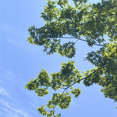 6月16日下午好