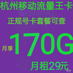 2025新办号码29每月，含170G流量