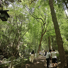 不出汗怎么对得起夏至