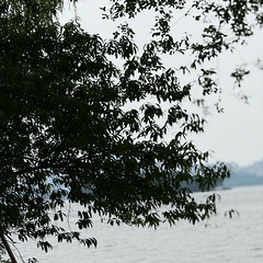 你我都知道