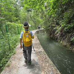 【2025晒游记】马岭古道，一条人来人往的网红山路