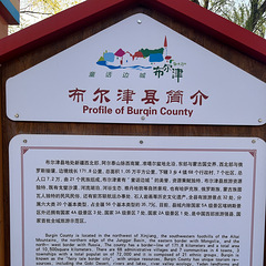 2025年4月底5月初新疆旅游杂记