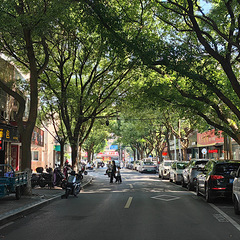 咸鲜烟火与古镇掠影
