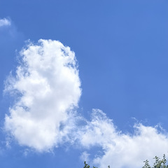 7月7上午好小暑有台风