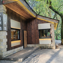 被树包围的饭店！